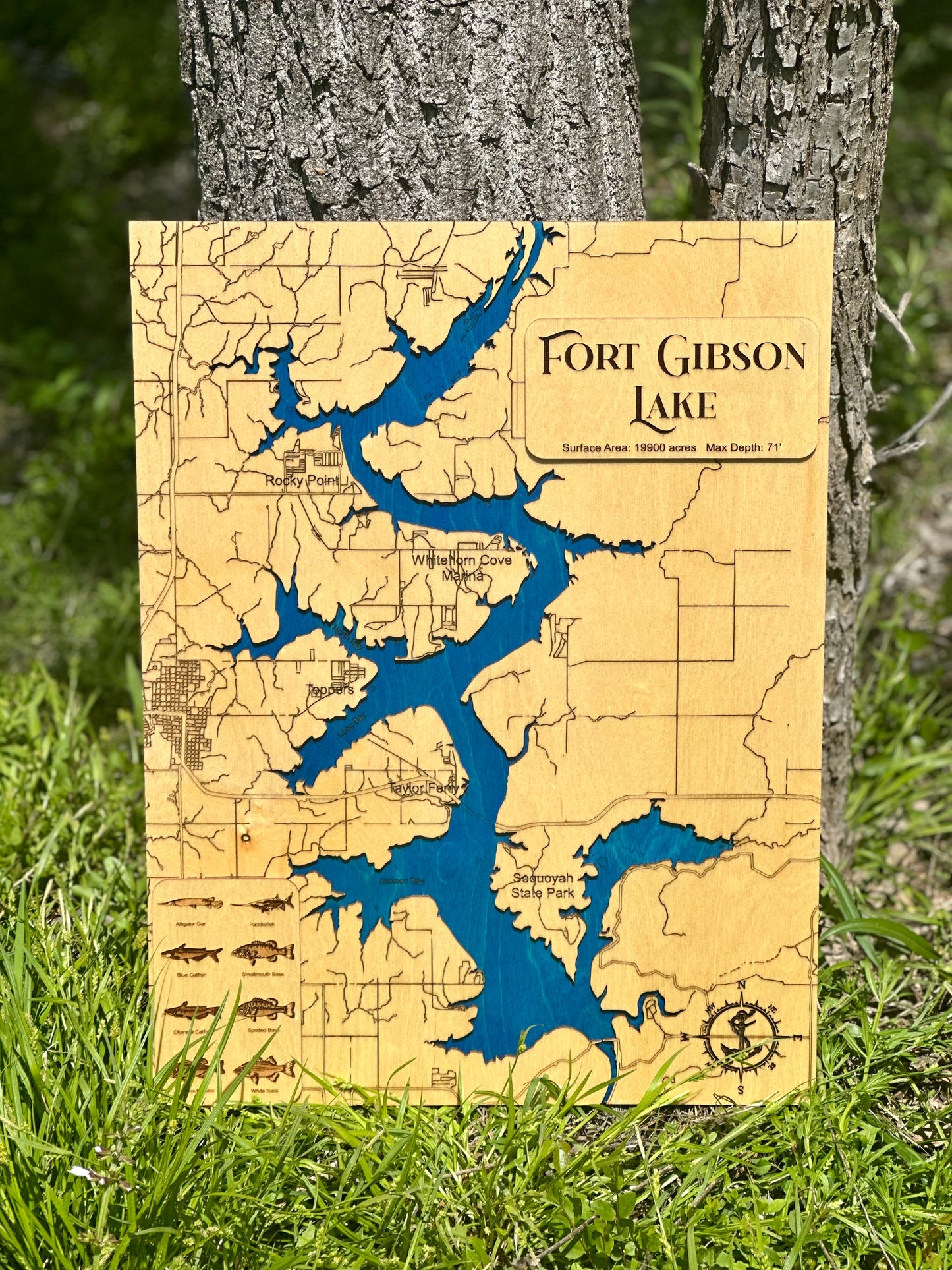 Engraved Lake Map