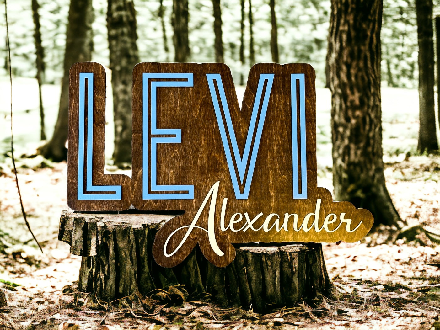 Wood Nursery Name Sign